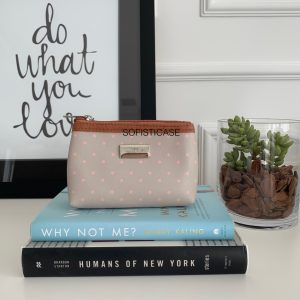 Mini necessaire básica bolinha